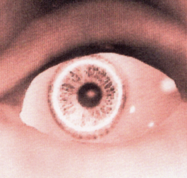 ﾌ乇刀刀ﾘ ズﾑ丂ｱ乇尺