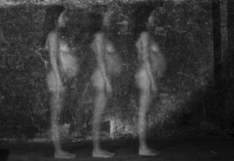 ﾌ乇刀刀ﾘ ズﾑ丂ｱ乇尺